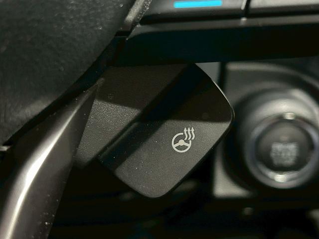 フォレスター アドバンス　（禁煙車）（後期型）（茶本革）（４ＷＤ）（ＡＬＰＩＮＥフリップダウンモニター）（ダイアトーンナビ）（アイサイト）（レーダークルーズ）（パワーシート）（シートヒーター）（ＥＴＣ）（純正１８インチＡＷ）（66枚目）