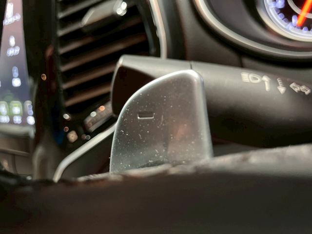 ジープ・チェロキー (禁煙車)(白本革)(メーカーナビ)(バックカメラ)(レーダークルーズ)(ルーフレール)(LEDヘッドライト)(シートヒーター&クーラー)(プッシュスタート&スマートキー)(純正18インチAW)(46枚目)