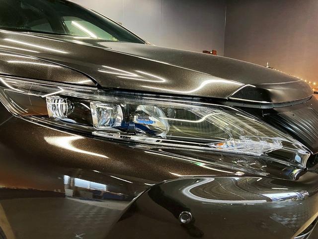 �y�k�d�c�w�b�h�����v�z�n���Q���w�b�h�����v�̖�Q�{�̌��ʂł�薾�邭�������Ƃ炵�A��ԑ��s���̎��F�������߂�B����ɒ�������A�ȓd�͂����́B