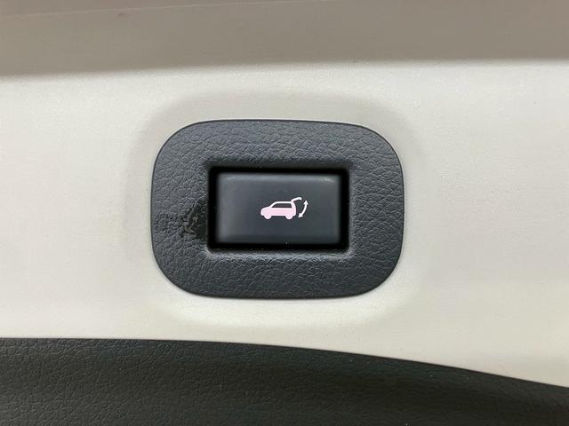 エクストレイル ２０Ｘ　エマージェンシーブレーキパッケージ　（禁煙車）（ワンオーナー）（撥水カプロンシート）（純正ナビ）（シートヒーター）（クルーズコントロール）（全周囲モニター）（パワーバックドア）（ビルトインＥＴＣ）（コーナーセンサー）（純正１７ＡＷ）（10枚目）