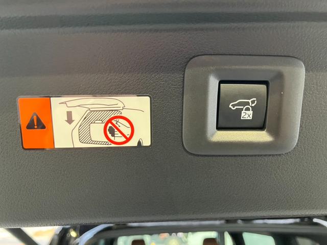 ヴェルファイアハイブリッド エグゼクティブラウンジ・ＪＢＬ・リアエンター・ムーンルーフ　ＪＢＬプレミアムサウンド　１４インチナビＴＶ　１４インチリアエンター　左右独立ムーンルーフ　ブラウン本革シート　エグゼクティブラウンジシート　セーフティセンス　ユニバーサルステップ（33枚目）