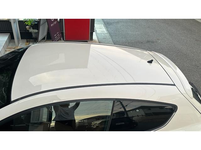 ミト クアドリフォリオ ヴェルデ(26枚目)