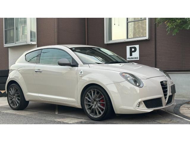 ミト クアドリフォリオ ヴェルデ(42枚目)