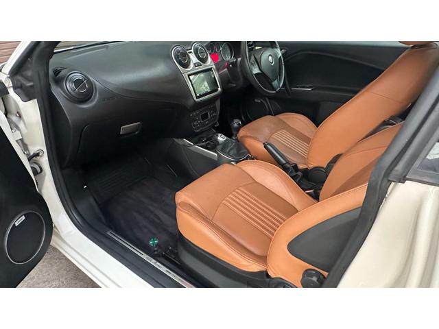 ミト クアドリフォリオ ヴェルデ(55枚目)