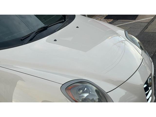 ミト クアドリフォリオ ヴェルデ(63枚目)