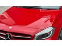 A180 エディションスタイル 限定車 ナビ最終最新更新済 18インチアルミ バックカメラ カラードグリル ハーフレザー ETC(59枚目)