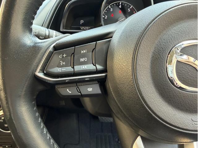 CX-3 XD プロアクティブ Sパッケージ 後期 ディーゼル車 ETC バックカメラ ハーフレザーシート シートヒーター ハンドルヒーター パワーシート クルーズコントロール ドライブレコーダー ヘッドアップディスプレイ 電子パーキング(31枚目)