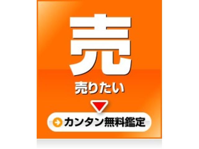 １．５Ｘ　スペシャルエディション　★ワンオーナー★純正エアロ★キーレス★ＡＡＣ★外カロッツェＳＤナビＡＶＩＣ－ＭＲＺ０９９Ｗ★社外１５ＡＷ★ＥＴＣ★ＨＩＤヘッド★バイザー★Ｐガラス★車検Ｒ７，１１，１３(38枚目)