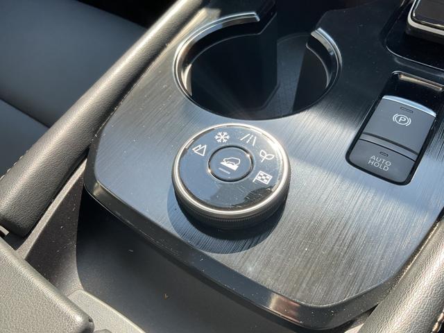 エクストレイル Ｇ　ｅ－４ＯＲＣＥ　ワンオーナー／パノラミックスライディングルーフ／ＢＯＳＥサウンドスピーカー／黒合皮シート／純正メーカーナビフルセグＴＶ／全方位カメラ／プロパイロット／ルーフレール／社外１９ＡＷ／デジタルインナーＭ（46枚目）