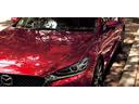 IS300h 純正メーカーナビ★フルセグTV★セーフティシステムプラス★Rカメラ★黒×赤コンビ革シート★フルLEDヘッドライト★パドルシフト★シートH★レーダークルーズ★ETC★純正16AW★ブラインドスポット(73枚目)