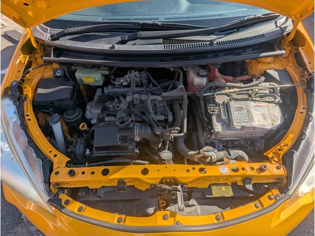 アクア （44枚目）