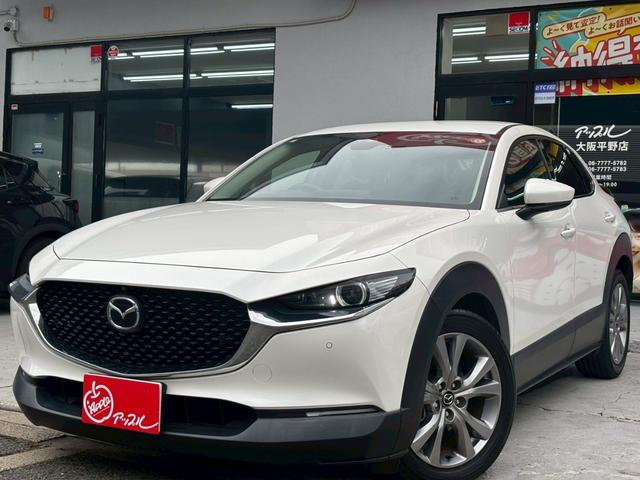 CX-30 20S プロアクティブ ツーリングセレクション 禁煙ワンオーナー 360°セーフティーパッケージ 純正18インチAW タイヤ8部山 フルセグTV 純正前後ドライブレコーダー アダプティブクルーズコントロール オートハイビーム パワーバックドア(13枚目)