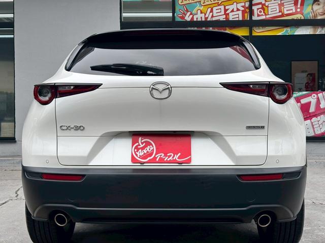 CX-30 20S プロアクティブ ツーリングセレクション 禁煙ワンオーナー 360°セーフティーパッケージ 純正18インチAW タイヤ8部山 フルセグTV 純正前後ドライブレコーダー アダプティブクルーズコントロール オートハイビーム パワーバックドア(17枚目)