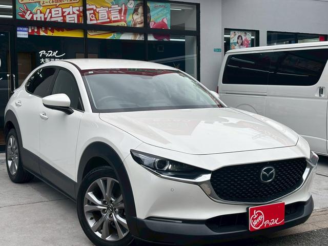 CX-30 20S プロアクティブ ツーリングセレクション 禁煙ワンオーナー 360°セーフティーパッケージ 純正18インチAW タイヤ8部山 フルセグTV 純正前後ドライブレコーダー アダプティブクルーズコントロール オートハイビーム パワーバックドア(45枚目)