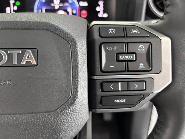 ランドクルーザー250 VX モデリスタプロテクターキット・360°カメラ・パワーバックドア・BSM・デジタルミラー(30枚目)