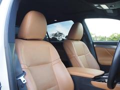 ���ѳץ����ȡ������ȥҡ���������ž�ʽ����ʤˡ������ϻ��Ѵ��򤽤��ޤǴ����ʤ���٥���礭�ʥ��᡼���⤢��ޤ��󡣳ץ����Ȥ����ѥ��꡼�ʡ��ˤ����ʥ��ƥʥ󥹺ѤǤ��� 6