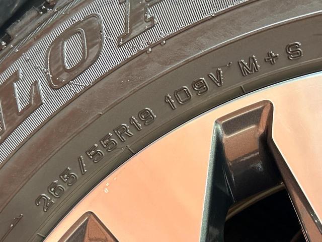 ランドクルーザープラド TX Lパッケージ サンルーフ モデリスタエアロ 7人乗り 純正9インチナビ付ディスプレイオーディオ 全周囲カメラ ブラインドスポットモニター レーダークルーズコントロール 黒革シート シートベンチレーション(21枚目)