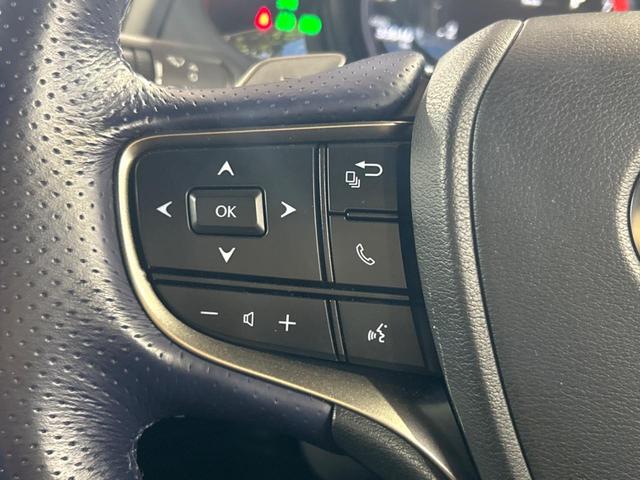 ＵＸ ＵＸ２００　Ｆスポーツ　スタイルブルー　サンルーフ　純正ナビ　セーフティシステムプラス　パノラミックビューモニター　レーダークルーズコントロール　ブラインドスポットモニター　シートヒーター　ＬＥＤヘッドライト　パワーバックドア（22枚目）