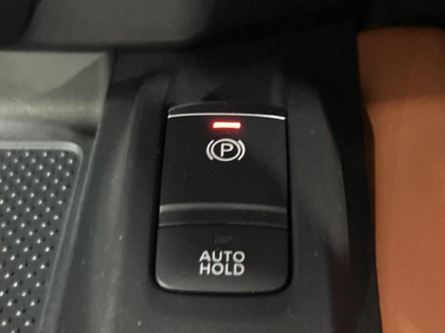 エクストレイル ２０Ｘｉ　レザーエディション　Ｖセレクション　４ＷＤ　サンルーフ　純正９型ナビ　全周囲カメラ　エマージェンシーブレーキ　プロパイロット　パワーバックドア　前席パワーシート　前席中列シートヒーター　ドラレコ　スマートキー　ＥＴＣ（64枚目）