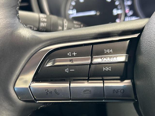 ＣＸ－３０ ＸＤ　ブラックトーンエディション　ターボ　８型マツダコネクト　全周囲カメラ　衝突被害軽減装置　禁煙車　レーダークルーズ　ヘッドアップディスプレイ　ブラインドスポットモニター　ドラレコ　メモリ付きパワーシート　ＥＴＣ　前席シートヒーター（67枚目）