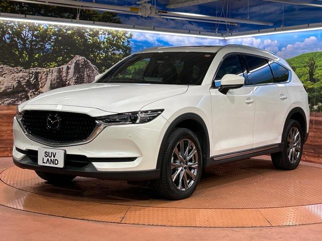 ＣＸ－８ ２５Ｓ　Ｌパッケージ　サンルーフ　１０．２５インチマツダコネクトナビ　全周囲カメラ　ＢＯＳＥサウンド　衝突被害軽減システム　レーダークルーズ　禁煙車　電動リアゲート　レザーシート　前席シートエアコン　ドラレコ（41枚目）