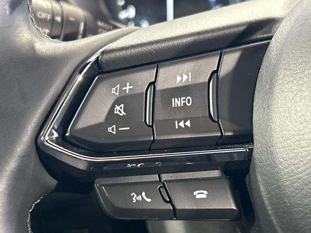 ＣＸ－８ ２５Ｓ　Ｌパッケージ　サンルーフ　１０．２５インチマツダコネクトナビ　全周囲カメラ　ＢＯＳＥサウンド　衝突被害軽減システム　レーダークルーズ　禁煙車　電動リアゲート　レザーシート　前席シートエアコン　ドラレコ（70枚目）