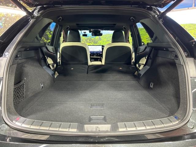 NX NX250 バージョンL サンルーフ 14インチディスプレイオーディオプラス セーフティシステムプラス ブラインドスポットモニター カラーヘッドアップディスプレイ LEDヘッドライト 全周囲カメラ ドライブレコーダー(10枚目)