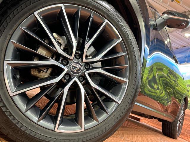 NX NX250 バージョンL サンルーフ 14インチディスプレイオーディオプラス セーフティシステムプラス ブラインドスポットモニター カラーヘッドアップディスプレイ LEDヘッドライト 全周囲カメラ ドライブレコーダー(13枚目)