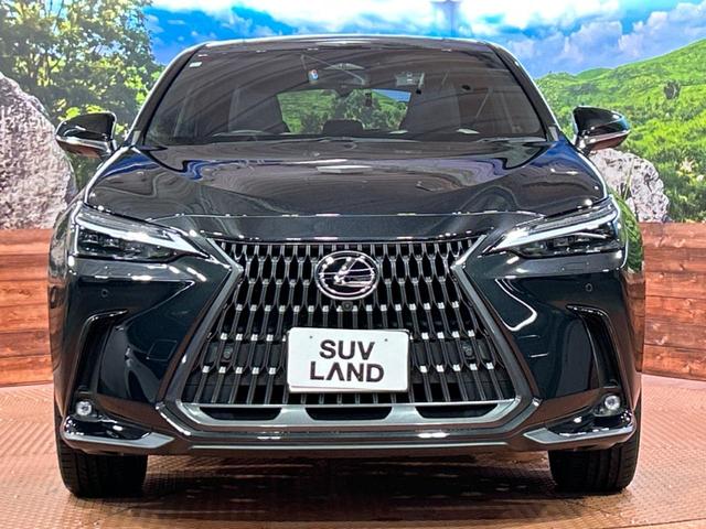 NX NX250 バージョンL サンルーフ 14インチディスプレイオーディオプラス セーフティシステムプラス ブラインドスポットモニター カラーヘッドアップディスプレイ LEDヘッドライト 全周囲カメラ ドライブレコーダー(14枚目)