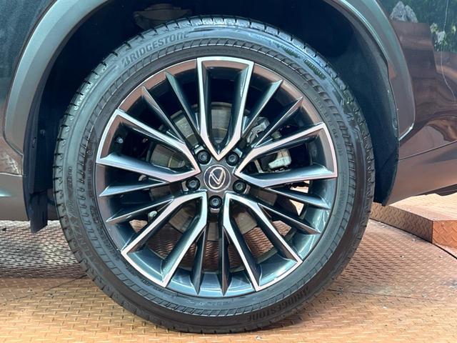 NX NX250 バージョンL サンルーフ 14インチディスプレイオーディオプラス セーフティシステムプラス ブラインドスポットモニター カラーヘッドアップディスプレイ LEDヘッドライト 全周囲カメラ ドライブレコーダー(22枚目)