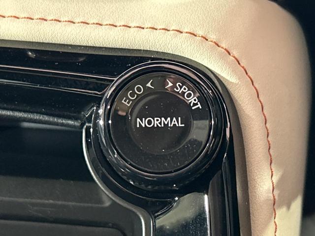 NX NX250 バージョンL サンルーフ 14インチディスプレイオーディオプラス セーフティシステムプラス ブラインドスポットモニター カラーヘッドアップディスプレイ LEDヘッドライト 全周囲カメラ ドライブレコーダー(39枚目)