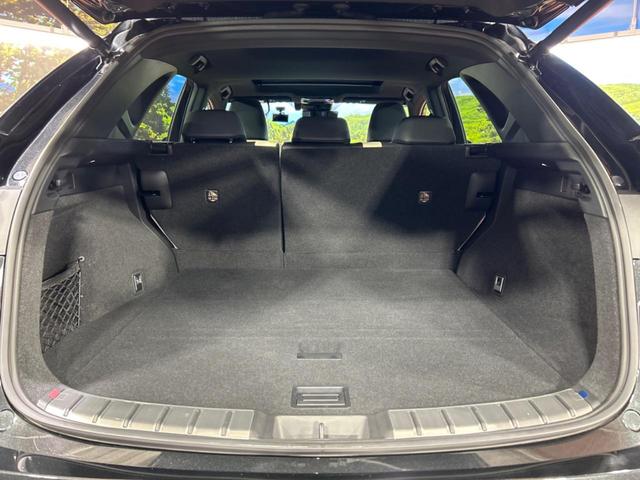 NX NX250 バージョンL サンルーフ 14インチディスプレイオーディオプラス セーフティシステムプラス ブラインドスポットモニター カラーヘッドアップディスプレイ LEDヘッドライト 全周囲カメラ ドライブレコーダー(61枚目)