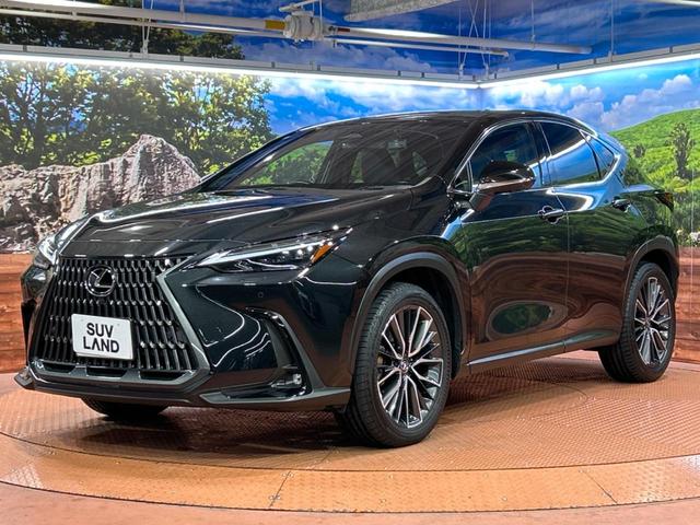 NX NX250 バージョンL サンルーフ 14インチディスプレイオーディオプラス セーフティシステムプラス ブラインドスポットモニター カラーヘッドアップディスプレイ LEDヘッドライト 全周囲カメラ ドライブレコーダー(70枚目)