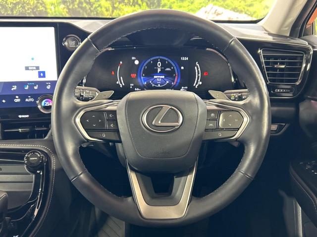 NX NX250 バージョンL サンルーフ 純正14インチディスプレイオーディオプラス 全周囲カメラ レーダークルーズコントロール ブラインドスポットモニター デジタルインナーミラー カラーヘッドアップディスプレイ(11枚目)