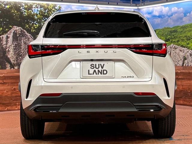 NX NX250 バージョンL サンルーフ 純正14インチディスプレイオーディオプラス 全周囲カメラ レーダークルーズコントロール ブラインドスポットモニター デジタルインナーミラー カラーヘッドアップディスプレイ(15枚目)