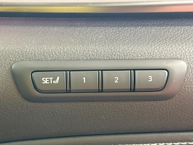 NX NX250 バージョンL サンルーフ 純正14インチディスプレイオーディオプラス 全周囲カメラ レーダークルーズコントロール ブラインドスポットモニター デジタルインナーミラー カラーヘッドアップディスプレイ(28枚目)