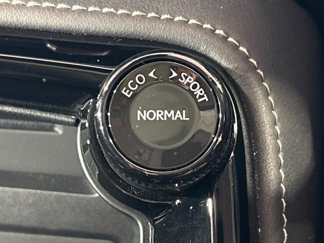 NX NX250 バージョンL サンルーフ 純正14インチディスプレイオーディオプラス 全周囲カメラ レーダークルーズコントロール ブラインドスポットモニター デジタルインナーミラー カラーヘッドアップディスプレイ(38枚目)