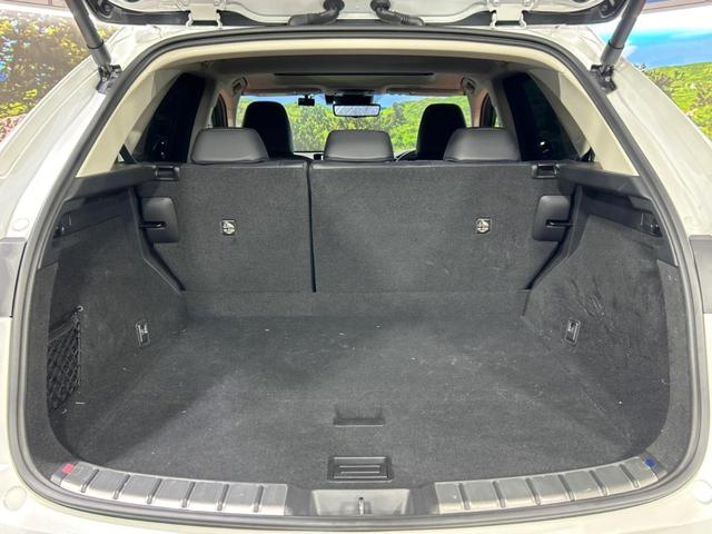 NX NX250 バージョンL サンルーフ 純正14インチディスプレイオーディオプラス 全周囲カメラ レーダークルーズコントロール ブラインドスポットモニター デジタルインナーミラー カラーヘッドアップディスプレイ(59枚目)