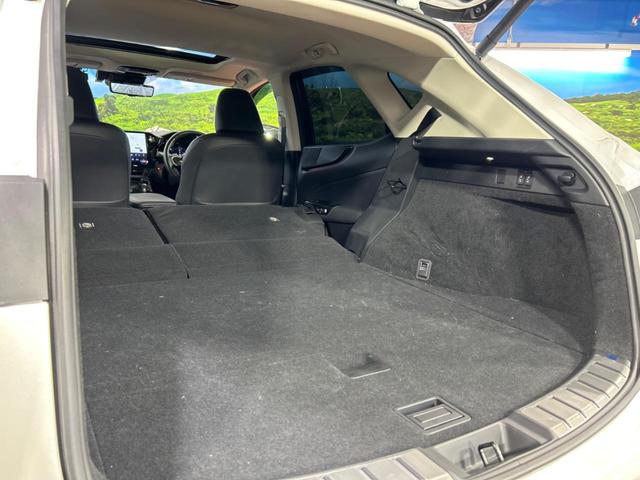 NX NX250 バージョンL サンルーフ 純正14インチディスプレイオーディオプラス 全周囲カメラ レーダークルーズコントロール ブラインドスポットモニター デジタルインナーミラー カラーヘッドアップディスプレイ(60枚目)