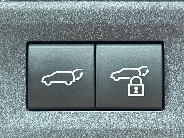 NX NX250 バージョンL サンルーフ 純正14インチディスプレイオーディオプラス 全周囲カメラ レーダークルーズコントロール ブラインドスポットモニター デジタルインナーミラー カラーヘッドアップディスプレイ(64枚目)