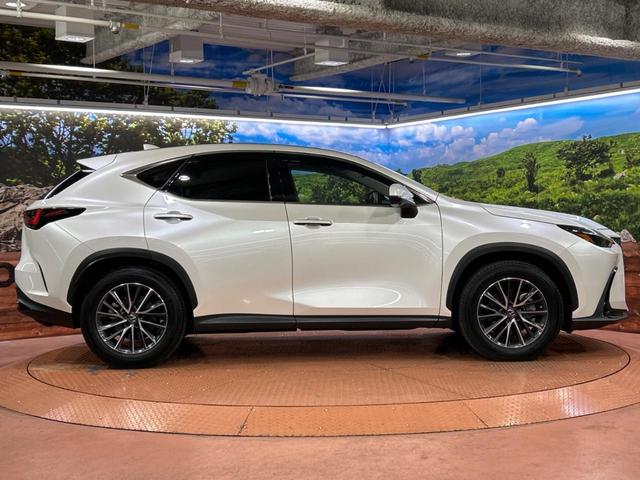 NX NX250 バージョンL サンルーフ 純正14インチディスプレイオーディオプラス 全周囲カメラ レーダークルーズコントロール ブラインドスポットモニター デジタルインナーミラー カラーヘッドアップディスプレイ(67枚目)