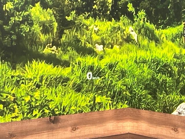 CX-5 XD プロアクティブ 10.25インチマツダコネクトナビ 全周囲カメラ ブラインドスポットモニター レーダークルーズコントロール ドライブレコーダー フルセグ Bluetooth再生 LEDヘッドライト ETC(5枚目)