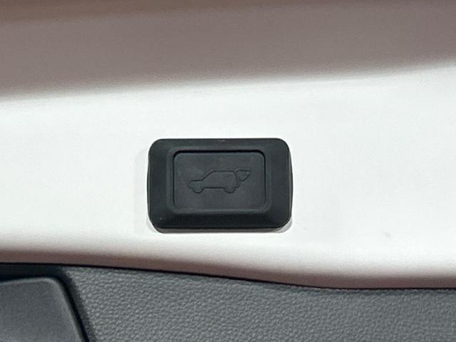 RAV4 アドベンチャー オフロードパッケージII 純正10.5インチディスプレイオーディオ バックカメラ トヨタセーフティセンス 禁煙車 ブラインドスポットモニター デジタルインナーミラー ドライブレコーダー フルセグ Bluetooth再生(47枚目)