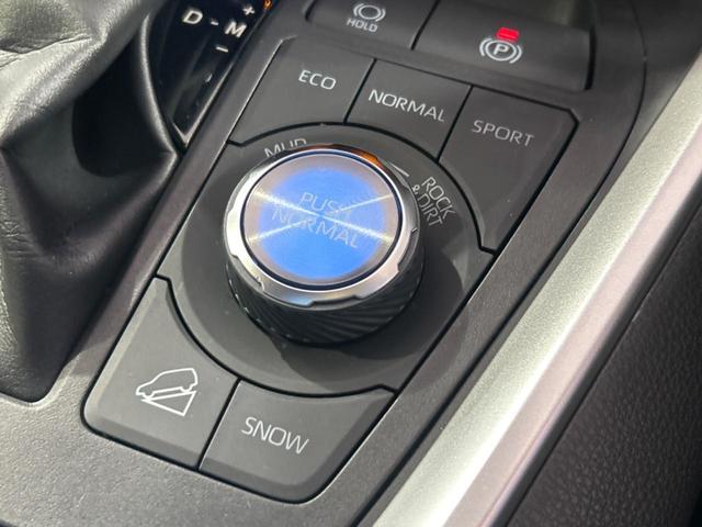 RAV4 アドベンチャー オフロードパッケージII 純正10.5インチディスプレイオーディオ バックカメラ トヨタセーフティセンス 禁煙車 ブラインドスポットモニター デジタルインナーミラー ドライブレコーダー フルセグ Bluetooth再生(62枚目)