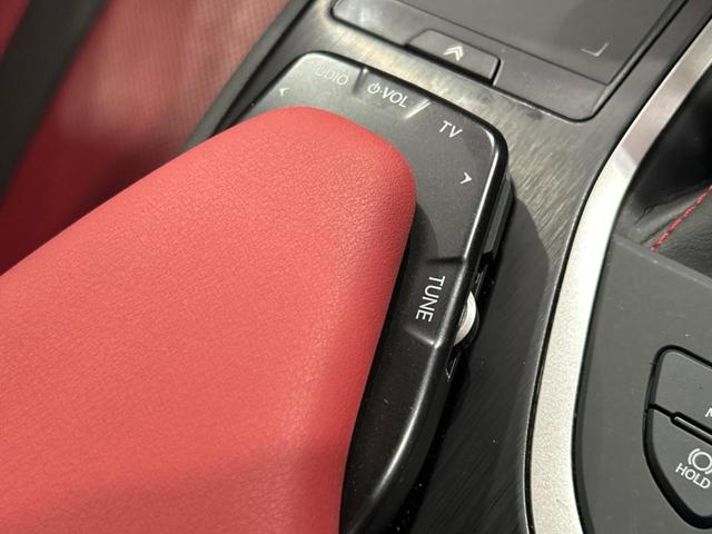 UX UX250h Fスポーツ 純正ナビ 全周囲カメラ セーフティシステムプラス 禁煙車 レーダークルーズコントロール ブラインドスポットモニター LEDヘッドライト 前席シートヒーター カラーヘッドアップディスプレイ(67枚目)