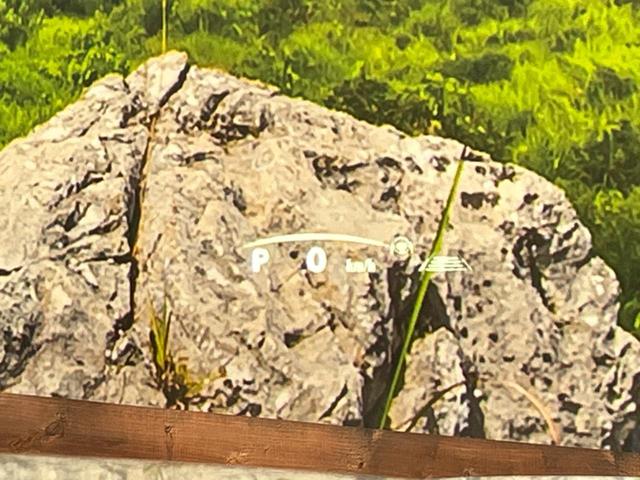 ＮＸ ＮＸ３５０　Ｆスポーツ　４ＷＤ　純正１４型ナビ　全周囲カメラ　衝突被害軽減装置　レーダークルーズ　禁煙車　パワーバックドア　ＥＴＣ　置くだけ充電　ヘッドアップディスプレイ　ブラインドスポットモニター　前席シートエアコン（7枚目）