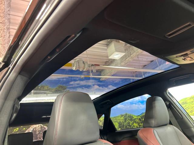 NX NX300 スパイス&シック 全周囲カメラ 衝突被害軽減システム レーダークルーズ 禁煙車 電動リアゲート レザーシート 前席シートエアコン ドラレコ コーナーセンサー スマートキー LEDヘッド ETC2.0 オートハイビーム(3枚目)