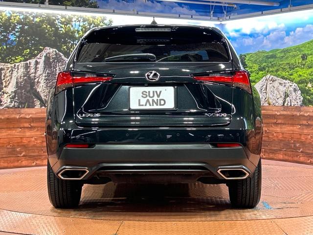 NX NX300 スパイス&シック 全周囲カメラ 衝突被害軽減システム レーダークルーズ 禁煙車 電動リアゲート レザーシート 前席シートエアコン ドラレコ コーナーセンサー スマートキー LEDヘッド ETC2.0 オートハイビーム(16枚目)