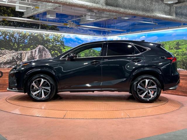 NX NX300 スパイス&シック 全周囲カメラ 衝突被害軽減システム レーダークルーズ 禁煙車 電動リアゲート レザーシート 前席シートエアコン ドラレコ コーナーセンサー スマートキー LEDヘッド ETC2.0 オートハイビーム(24枚目)