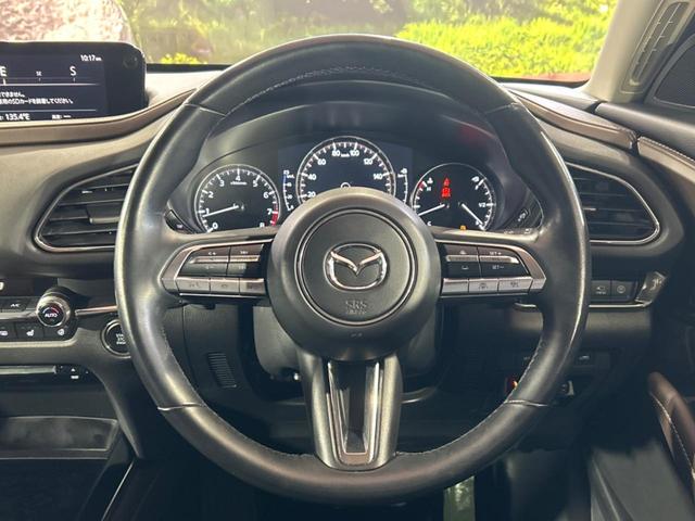 CX-30 X Lパッケージ 純正SDナビ 全周囲カメラ BOSEサウンド 衝突被害軽減システム レーダークルーズ 禁煙車 電動リアゲート レザーシート パワーシート ドラレコ コーナーセンサー スマートキー LEDヘッド(8枚目)